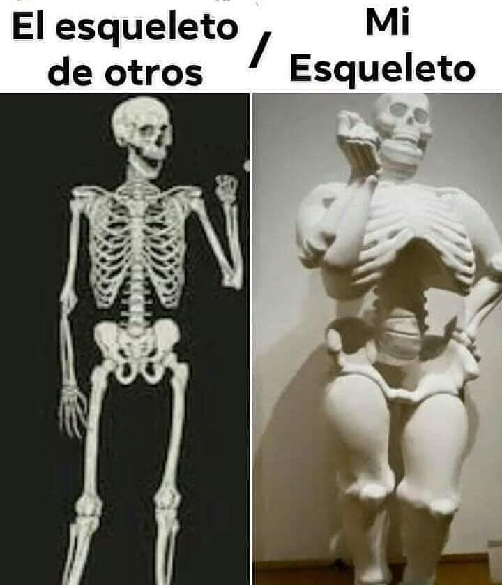 Miss Antropía tweet media