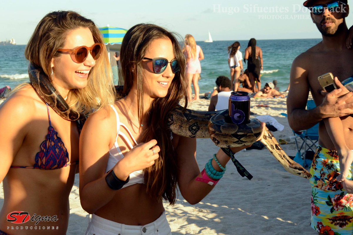 STigmaProd's tweet photo. That's the way we #EnjoyPhoto in #MiamiBeach !!!
 
More of the recent photoshoots of @STigmaProd !!!
(Don't forget to "LIKE &amp; SHARE" to see more productions)

#Lima #Peru #PeruvianModels #LatinModels #SexyPhotography https://t.co/e1rcfVCNrC