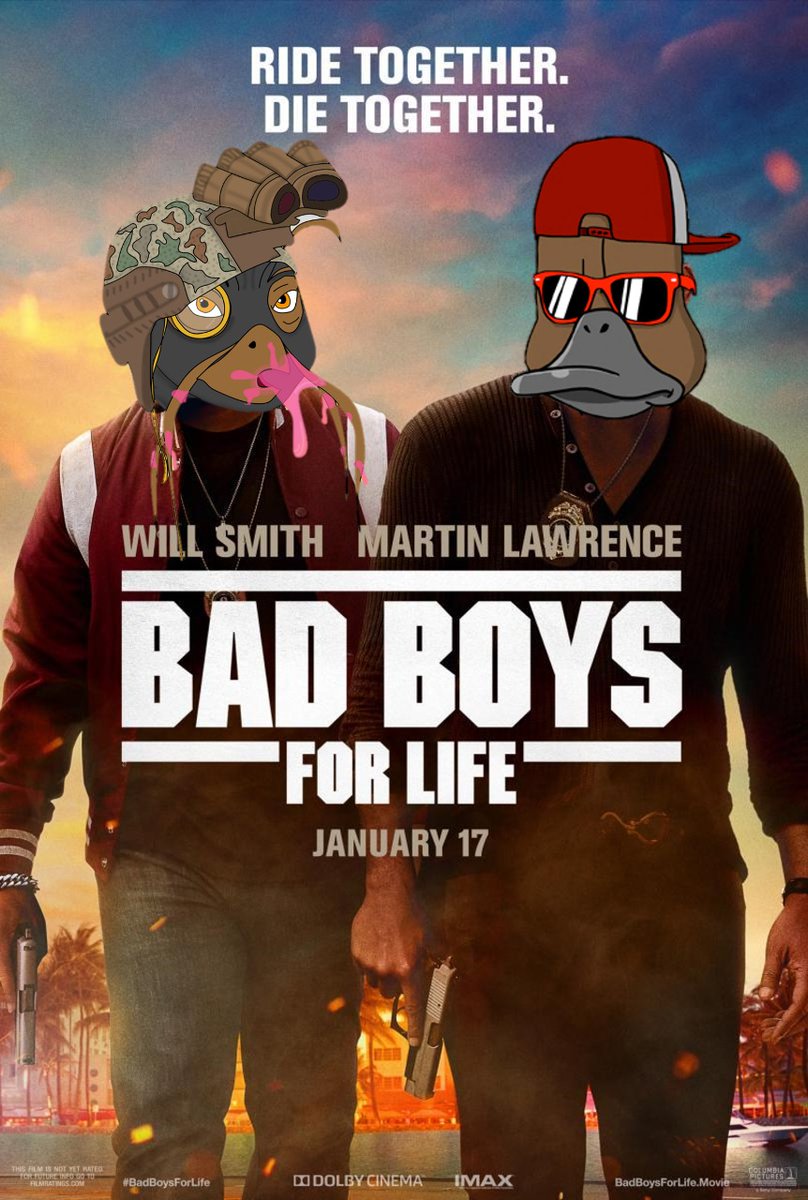 7. They really care about their community. Proof of this on Discord

8. The marketing and media team is very active! Check out their Twitter...

9. They are part of the #FeathersLeague <a href="/noncoducks/">Nonconformist Ducks</a>

#NFTs #NFTCommmunity #SnobNation #SPN #FeathersLeague PeacocksRideTogether