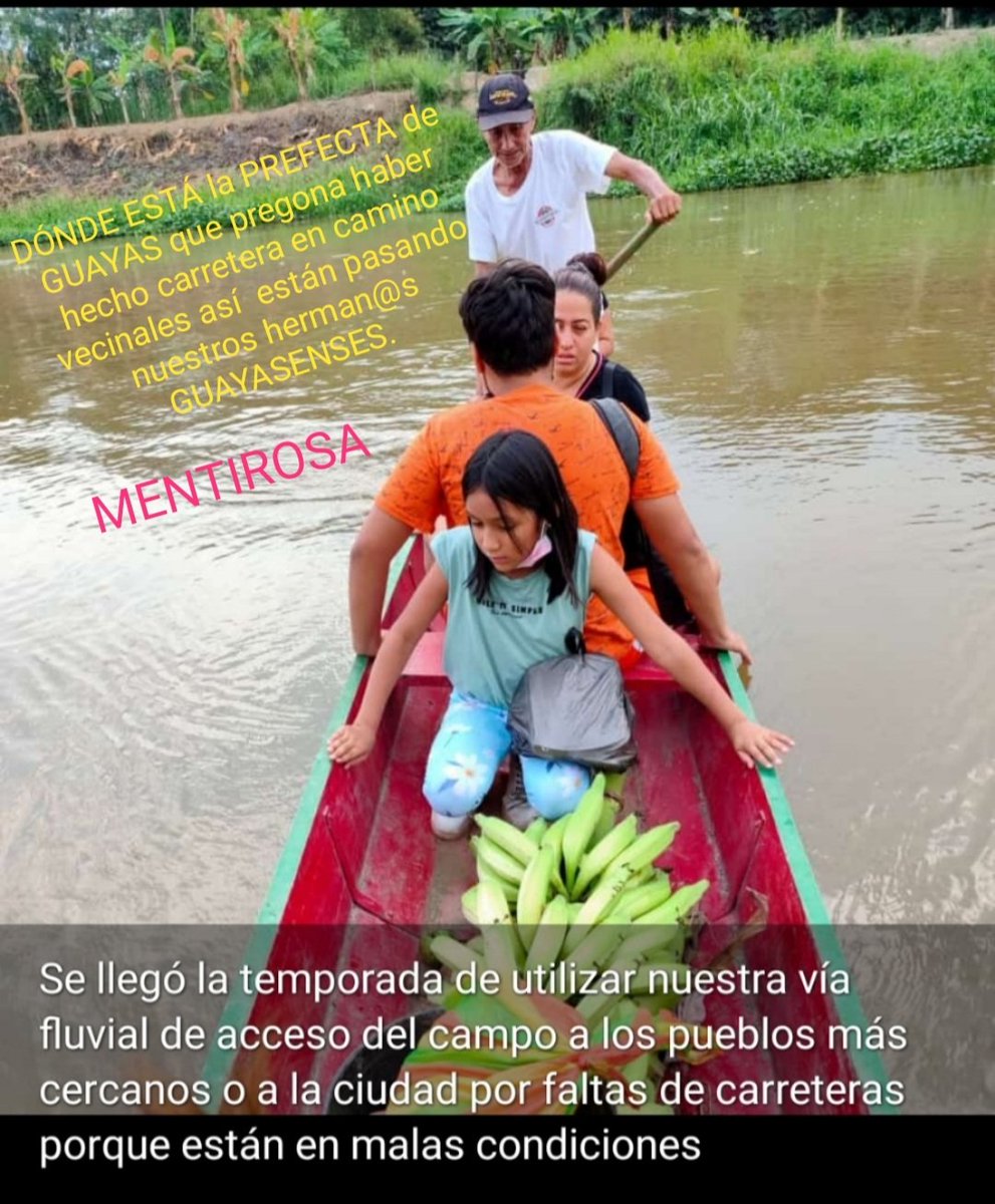 ceci82020's tweet photo. Hablar de la Prefectura del Guayas un https://t.co/I5SdVFErn1 prefecta tiene plata para derrochar en publicidad porque quiere REELECION  mientras nuestros herman@s GUAYASENSES pasan necesidades que es palpable necesitamos caminos vecinales no sea sinvergüenza https://t.co/japiS8O8E4