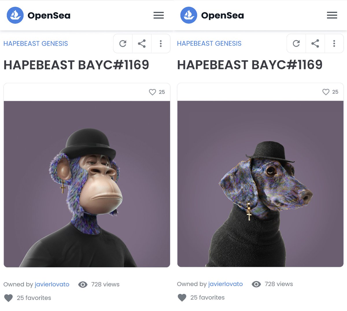 Mr__OG's tweet photo. From photographing my dog to securing one of the most influential and hyped NFT projects on the planet. 

If we are living in a simulation, keep me plugged in. 

@HAPEBEASTGANG
#HAPEBEAST
#hape #hapelist #OG #NFTCommunity https://t.co/Ri2AvZ2prm