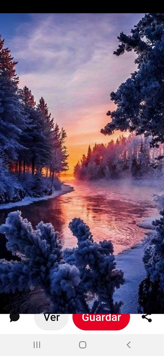 Yana Castañeda tweet media