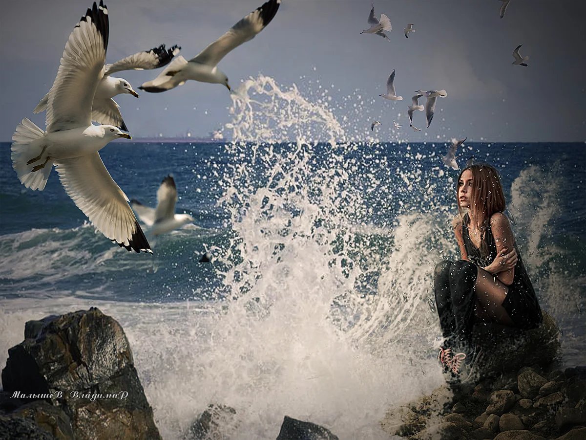 Белые волны песня. Море птицы девушка. Море, Чайки. Девушка море Чайки. Чайки на берегу моря.
