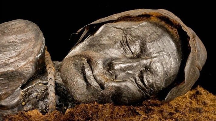 Un hombre milenario 

En 1950 la suerte deparó que dos hombres se encontraran, en Dinamarca, con un tesoro singular para la historia y la arqueología: el hombre de Tollund. Un cadaver enterrado en la turba y preservado por más de 2000 años.