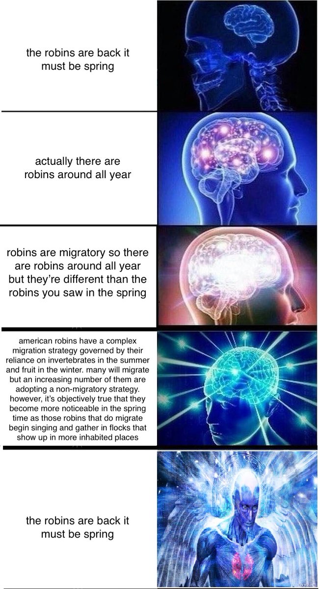 RyanFMandelbaum's tweet photo. facebook american robin discourse, summarized https://t.co/s3ILoMACvE