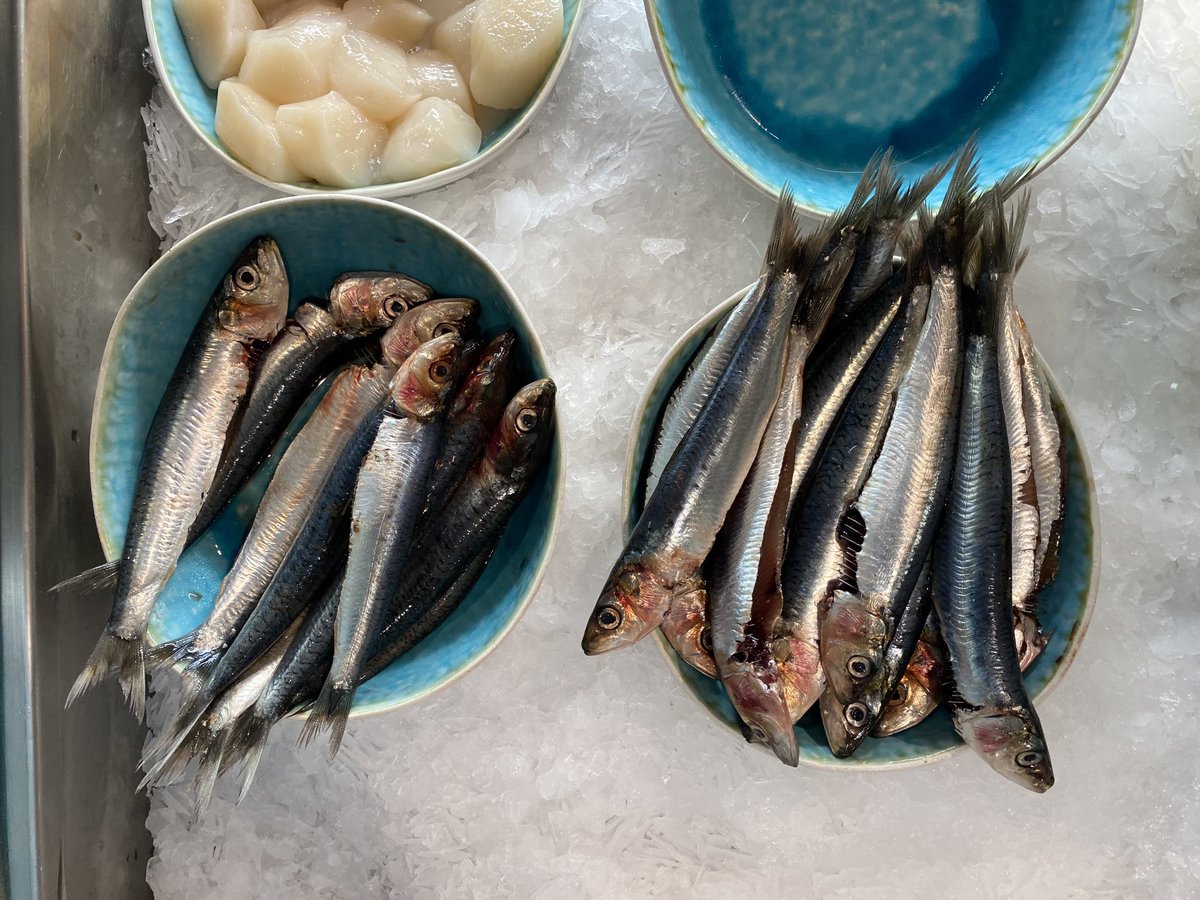 grussauskueche's tweet photo. Servicetweet: beim Lieblingsfisch am Karmelitermarkt gibts grad regelmäßig frische bretonische Sardinen für wohlfeile 15 Euro das Kilo. https://t.co/Un75q8YkUJ