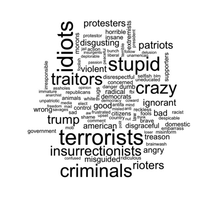 mia_i_costa's tweet photo. Brian &amp; I updated our analysis from last year for @DataProgress on words Americans use to describe the Capitol stormers. 

Biden voters said: 
1) terrorists
2) traitors
3) criminals
 
Trump voters said: 
1) stupid
2) patriots
3) idiots

Here you go: https://t.co/zX7jIpuoIS https://t.co/wqoDOTgrao