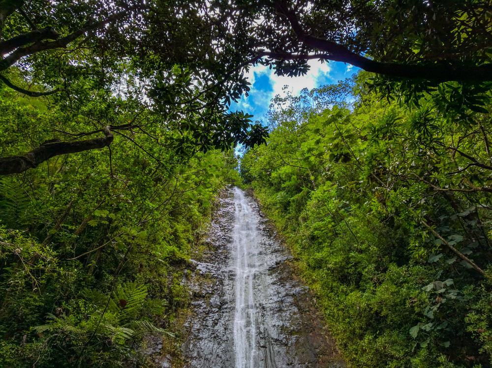 CTEagle6's tweet photo. Are you looking for some unique waterfalls in #Hawaii? This #travelguide will help you find them.  https://t.co/h04iFTEub3 https://t.co/3ey7nRTfcw