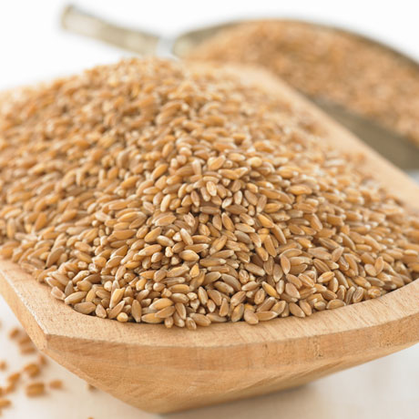 changeyourfood's tweet photo. @BluebirdGrains FANS! STORIES by your FAVE FARMER, SAM LUCY ... how he has to wrestle with those tough ancient #organic #grains EINKORN &amp; EMMER to bring their GOOD HEALTH POWER to YOU! The Change Your Food - Change Your Life! Radio Show WED Jan 19 NOON PST https://t.co/bwRfTgQHEJ https://t.co/B6g63eVEnK