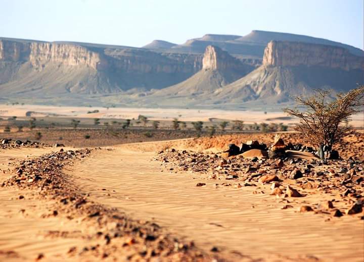 MoroccanMag's tweet photo. Morocco = Diversity ♥️
@MoroccanMag 
#morocco #travelphotography #travel #photographylovers #nature #NaturePhotography #naturelovers #traveling #travels #Landscapers #visitmorocco #landscapephotography #Desert  #Marrakech #Africa #Europe #WednesdayMotivation  #landscaping https://t.co/0xOnVwbdsz