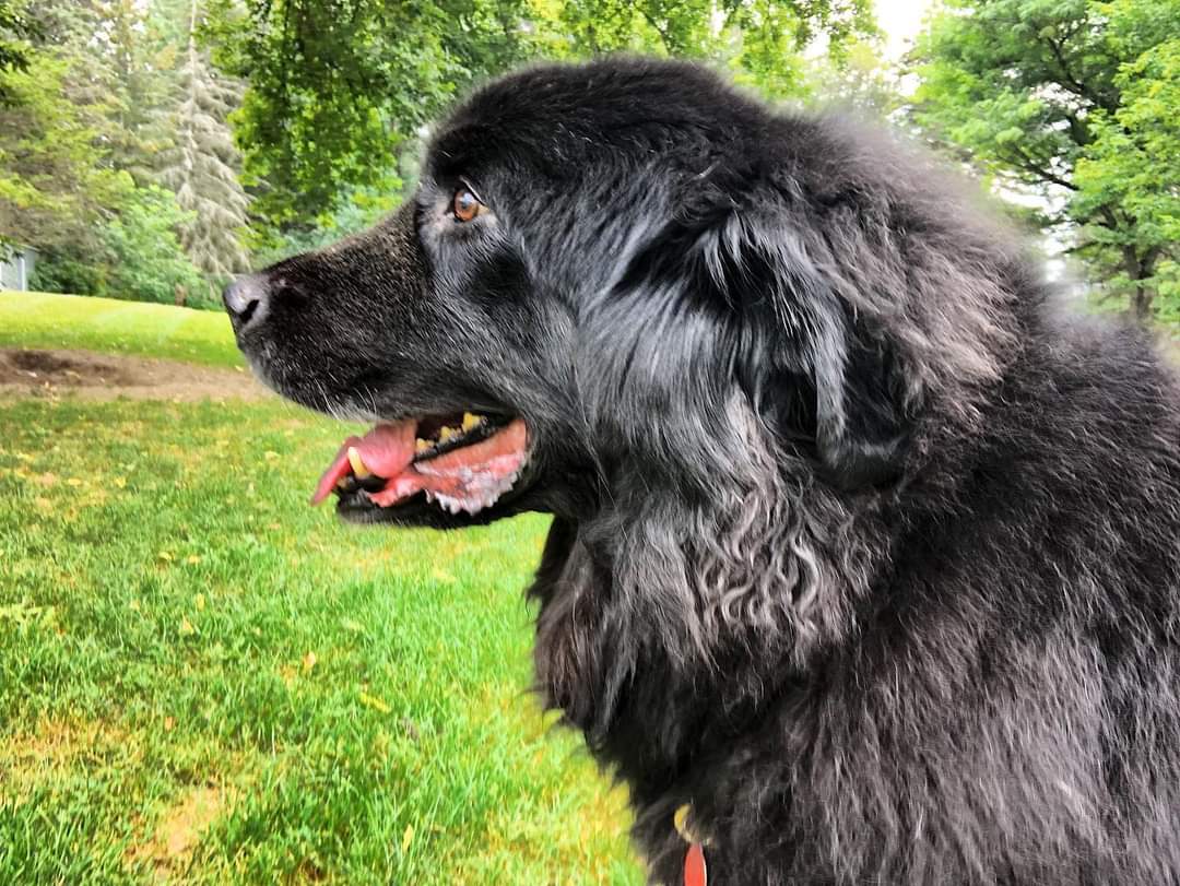 Jeri B 🇨🇦 tweet media