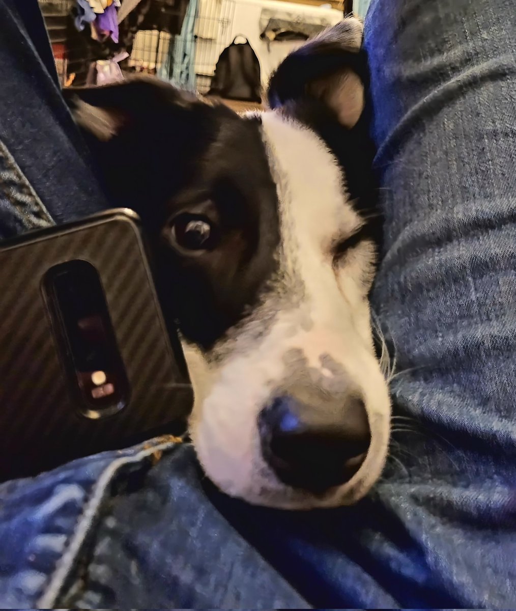 Hugo Tang tweet media