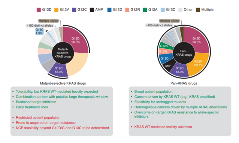 ElizSMcKenna's tweet photo. Expanding the Reach of #PrecisionOncology by Drugging All #KRAS Mutants by @MarcoHHofmann @gerlach_d @Sandra_Misale Mark Petronczki and @norbertkraut1 @boehringer @sloan_kettering (3/4) https://t.co/Sd1fiBwlmL https://t.co/hTZyY4vwHj