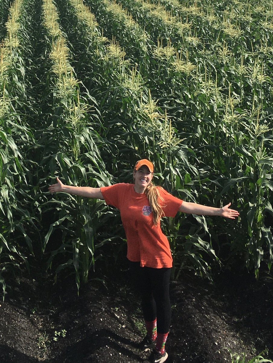 UFPlantbreeding's tweet photo. Special shoutout to recent Resende lab graduate, Dr. Finegan, who successfully finished her studies pertaining the breeding and genomics of nitrogen use efficiency in sweet corn. She is continuing her career at @Bayer4Crops. #UFPlantBreeder @MarcioResendeJr @ChristinaAFin
6/8 https://t.co/KOY4xWlH9o