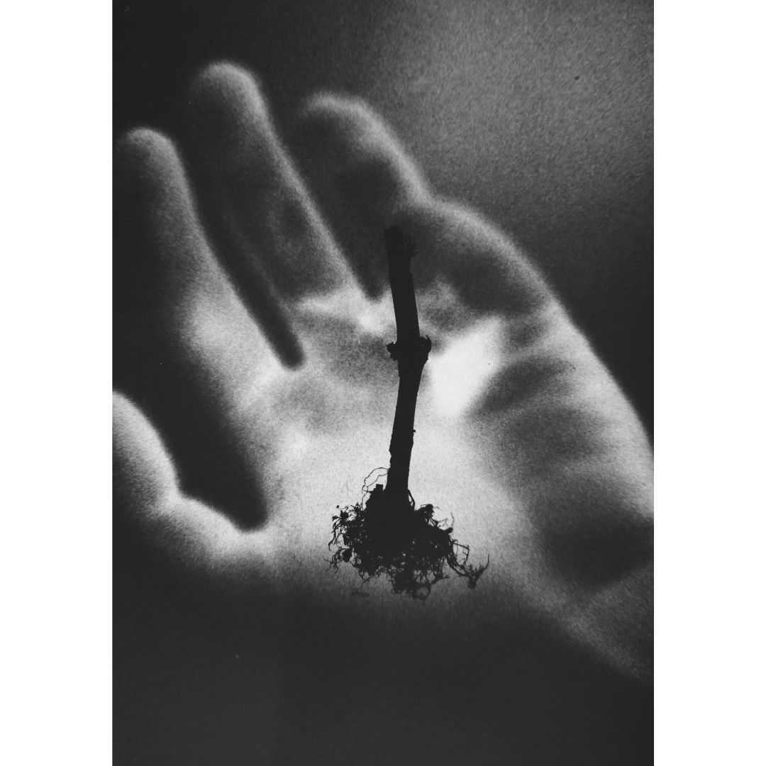 Big Shop Friday tweet media