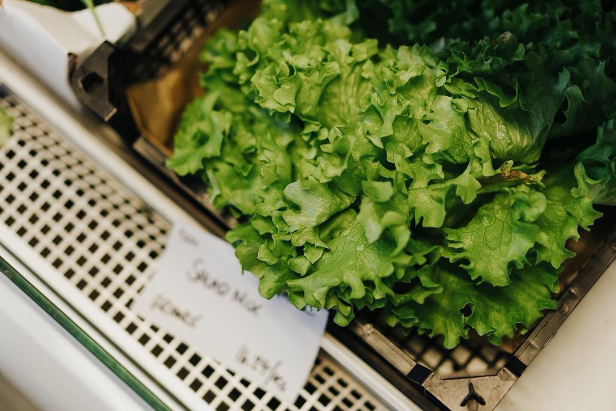 VillageGreensUK's tweet image. Tonight was our Annual General Meeting for all our members.
If you are wondering how to become a member or what it means to be a part of our community-coop, then please do get in touch. village-greens-coop.co.uk/members
⁠
#teamVG #communitycoop #becomeamember #prestwich #prestwichvillage