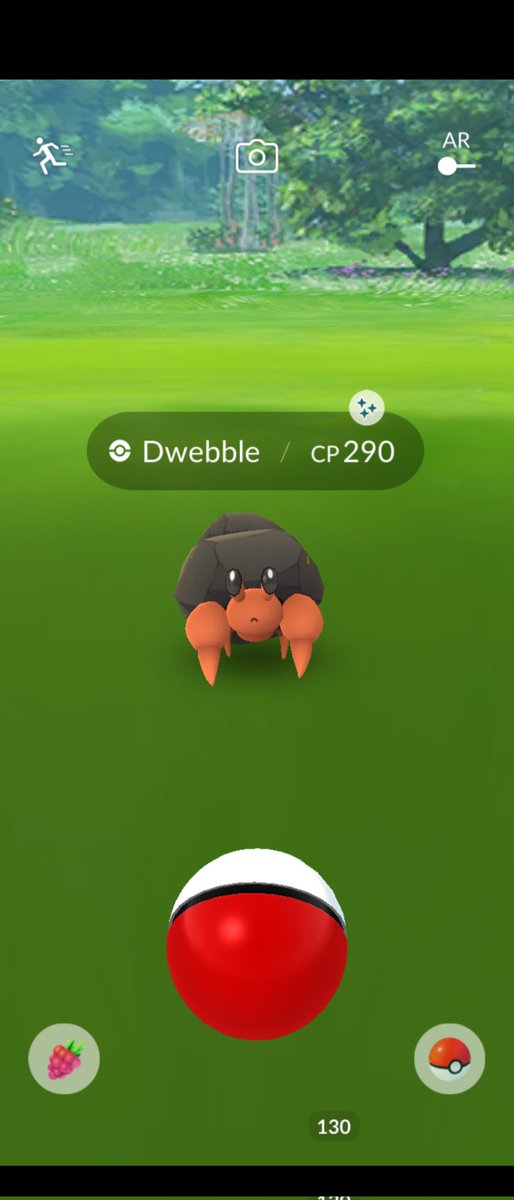 marinaferrari_'s tweet image. Another shiny #Dwebble ✨
#ShinyPokemon #Pokemon  #PokemonGO