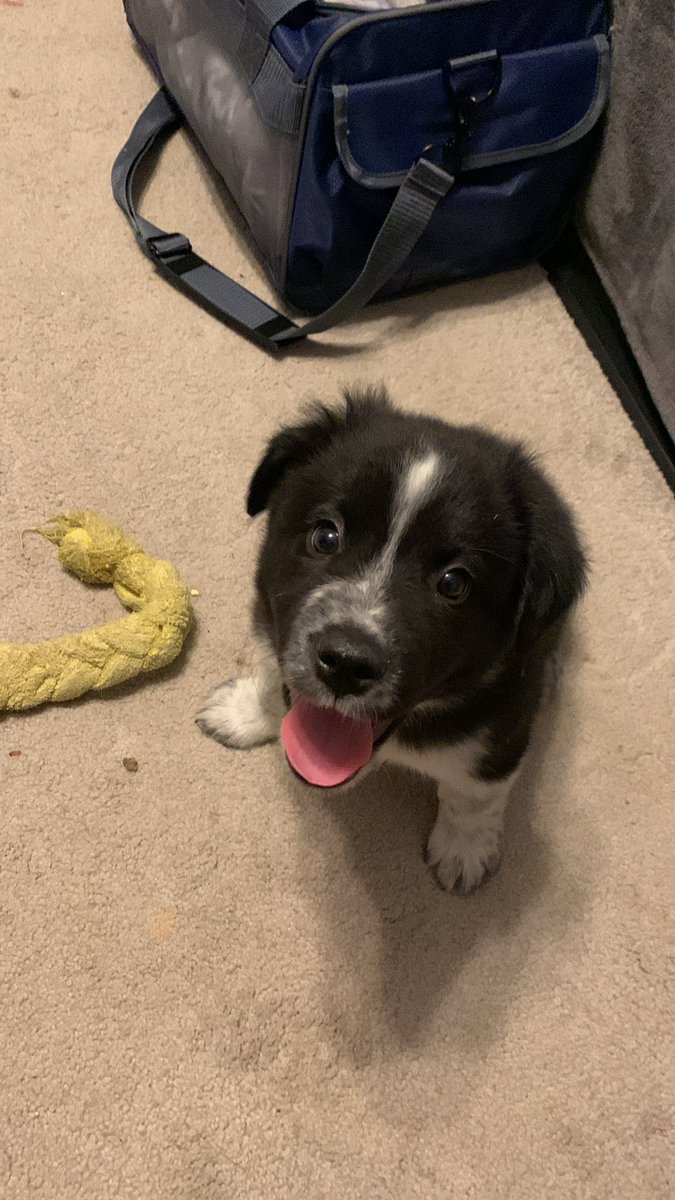 Brycils's tweet photo. 🥺🥺 https://t.co/vtXCtC9YT9