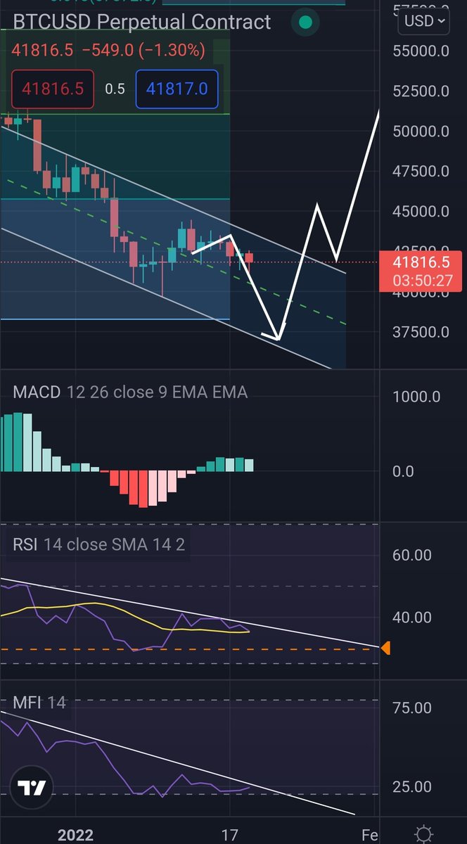 iAmBitcoinCat🗯 tweet media