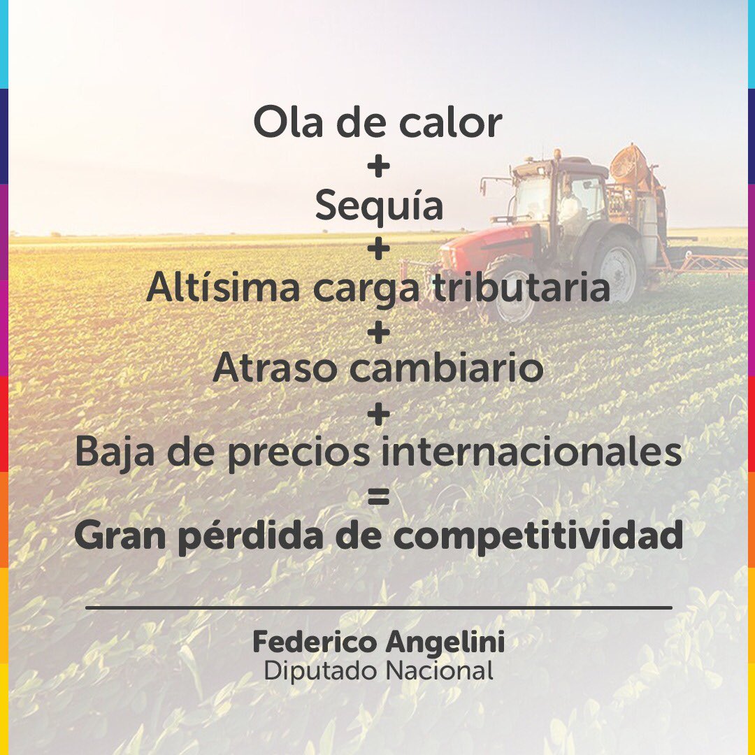 fangelini's tweet photo. RETENCIONES CERO PARA EL MAÍZ Y LA SOJA🌽🌱

Te cuento más sobre mi proyecto👇🏼👇🏼👇🏼 https://t.co/LXRzKd1rI8