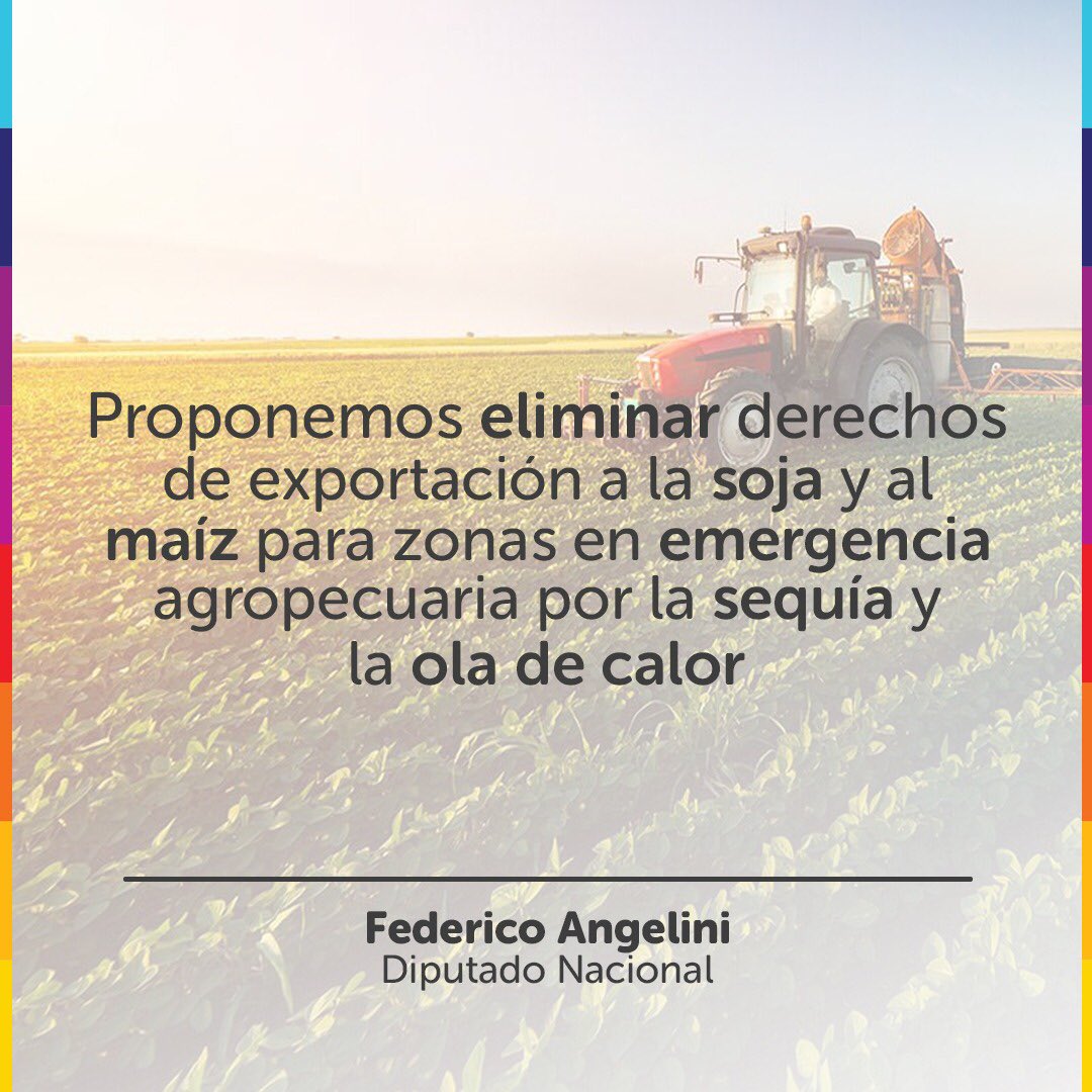 fangelini's tweet photo. RETENCIONES CERO PARA EL MAÍZ Y LA SOJA🌽🌱

Te cuento más sobre mi proyecto👇🏼👇🏼👇🏼 https://t.co/LXRzKd1rI8