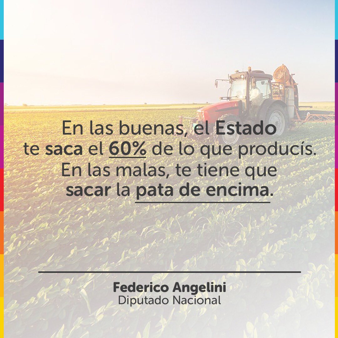 fangelini's tweet photo. RETENCIONES CERO PARA EL MAÍZ Y LA SOJA🌽🌱

Te cuento más sobre mi proyecto👇🏼👇🏼👇🏼 https://t.co/LXRzKd1rI8
