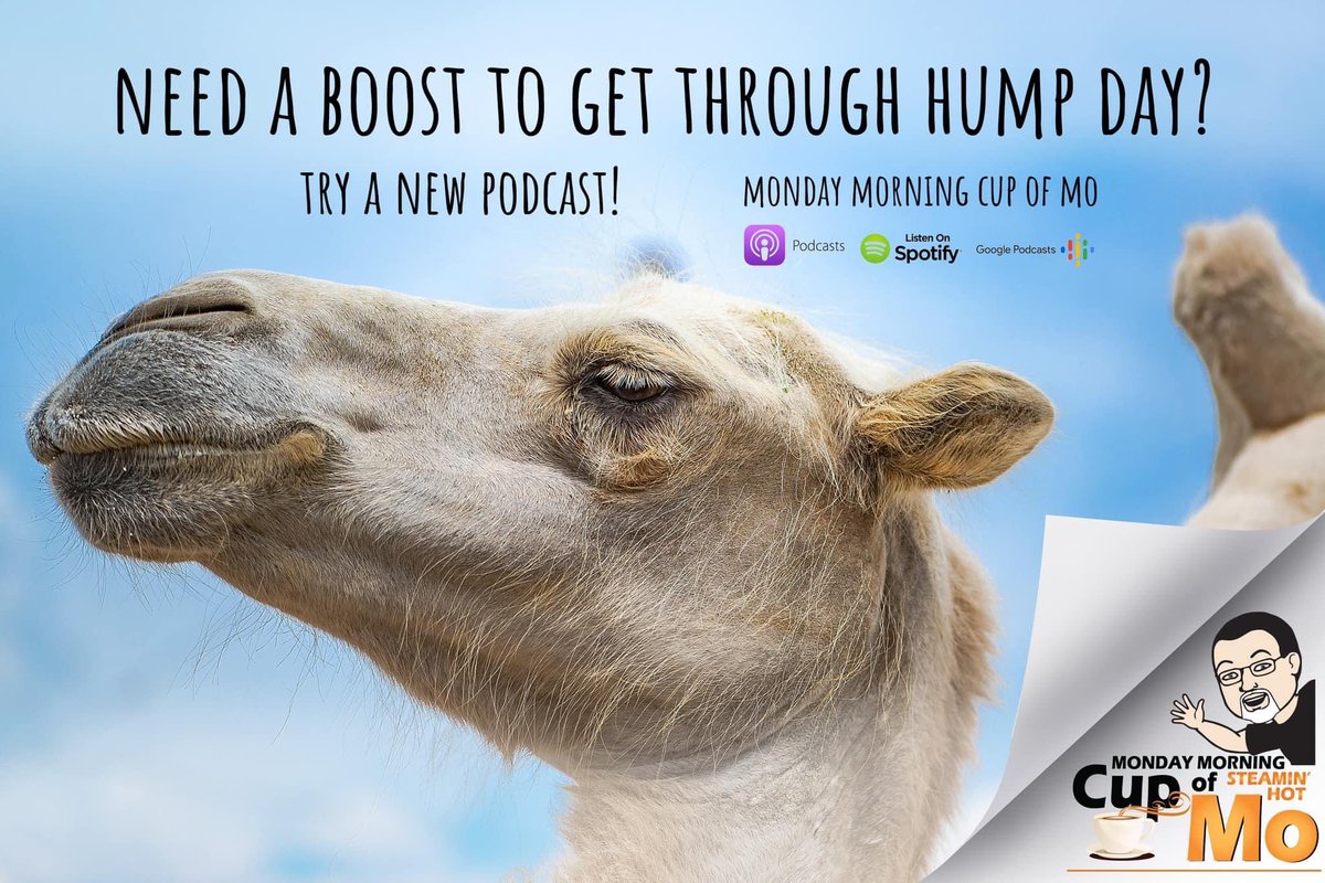 MMCupOfMo's tweet photo. Find out why LEDs are getting so popular — and what you need to know before you buy one. On your favorite podcast app right now, or https://t.co/cKhiUFSy1t @MichaelMowbray https://t.co/LecKgcuE36