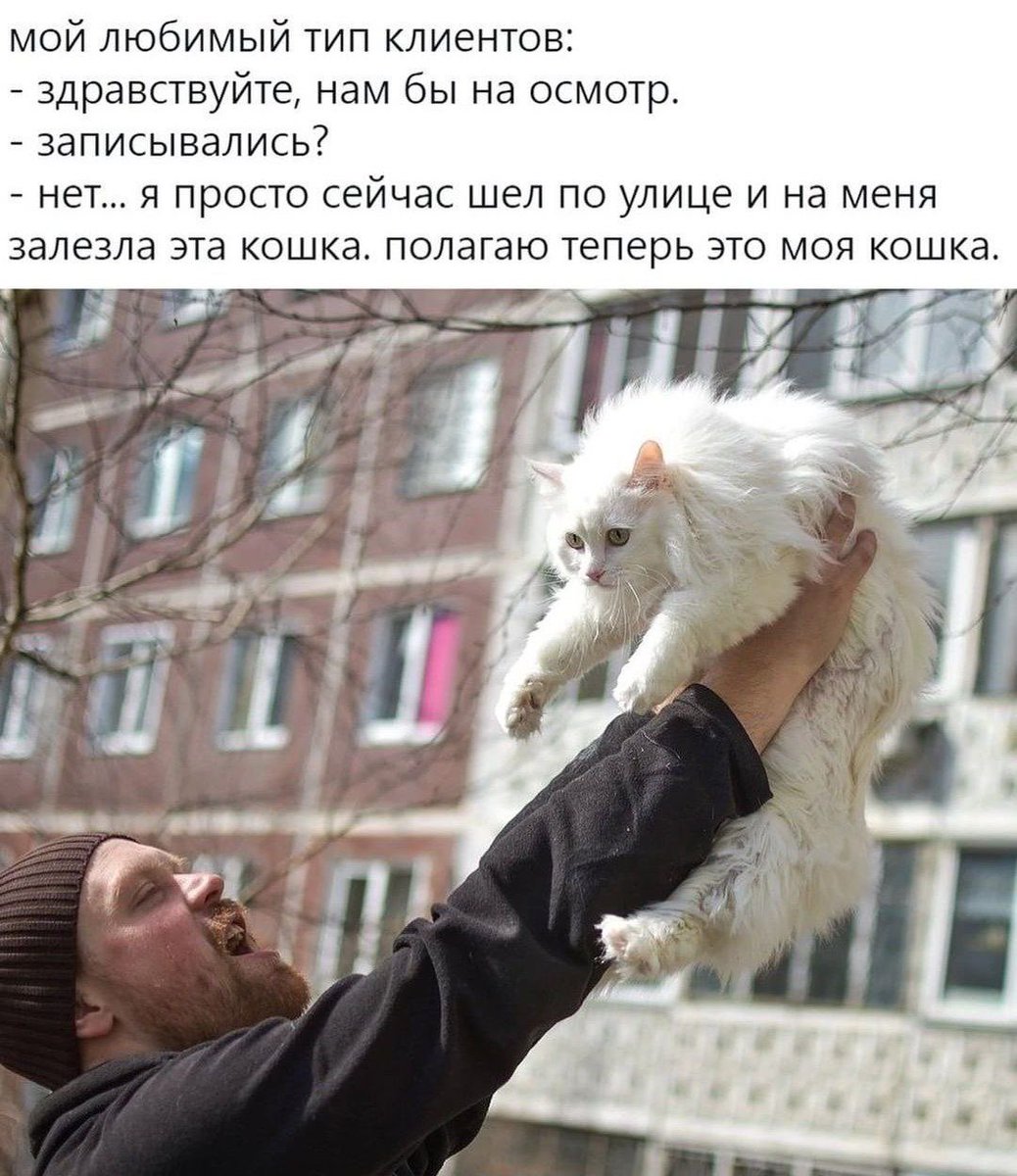 — смотри, прямо как ты 
— нет, я хочу конкретную собаку
— нет, ты не поняла. Ты на меня залезла