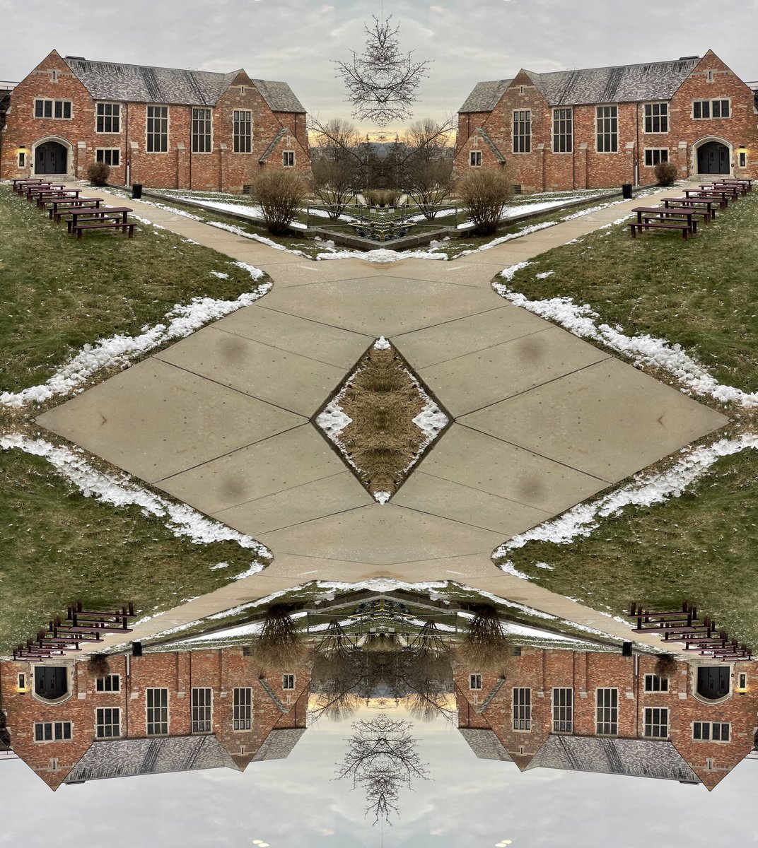 Mrwhitehead tweet media