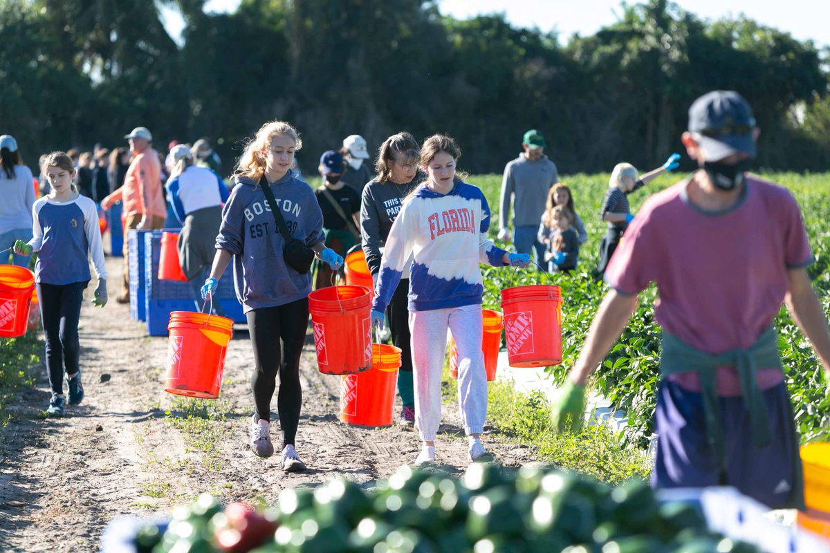 UnityDelray's tweet image. Last weekend, the Builders&apos; Club helped CROS Gleaning program harvest peppers to be distributed to many food banks in Palm Beach and Martin Counties. This wonderful program brings nutritious produce to many families in need.

#buildersclub #crosministries #unityschool