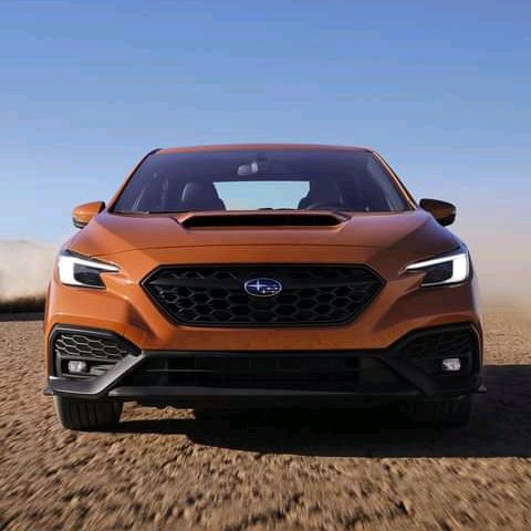 Subaruganda's tweet photo. #NewProfilePic https://t.co/RCRDKmHzEC