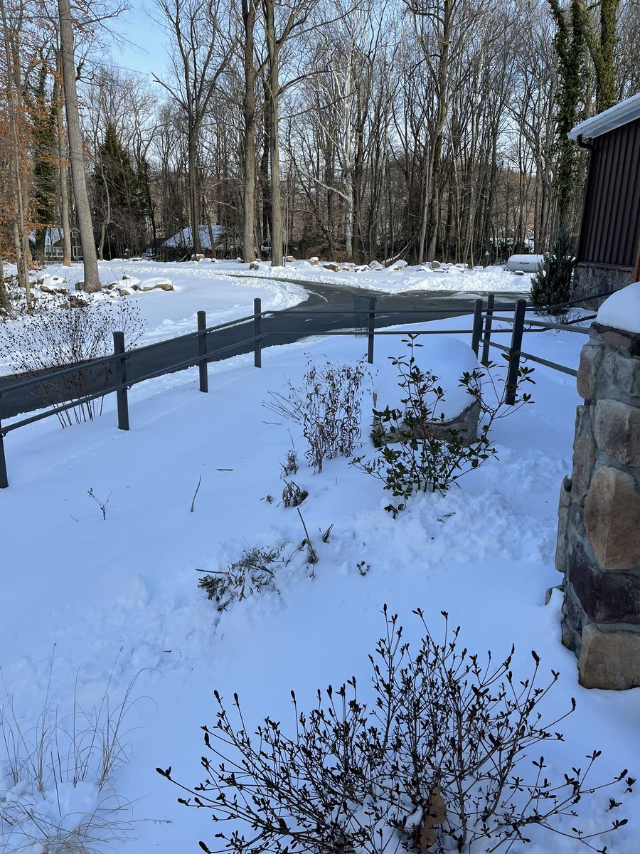 Work Discovery tweet media