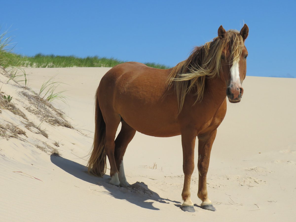 Chloe Cook tweet media