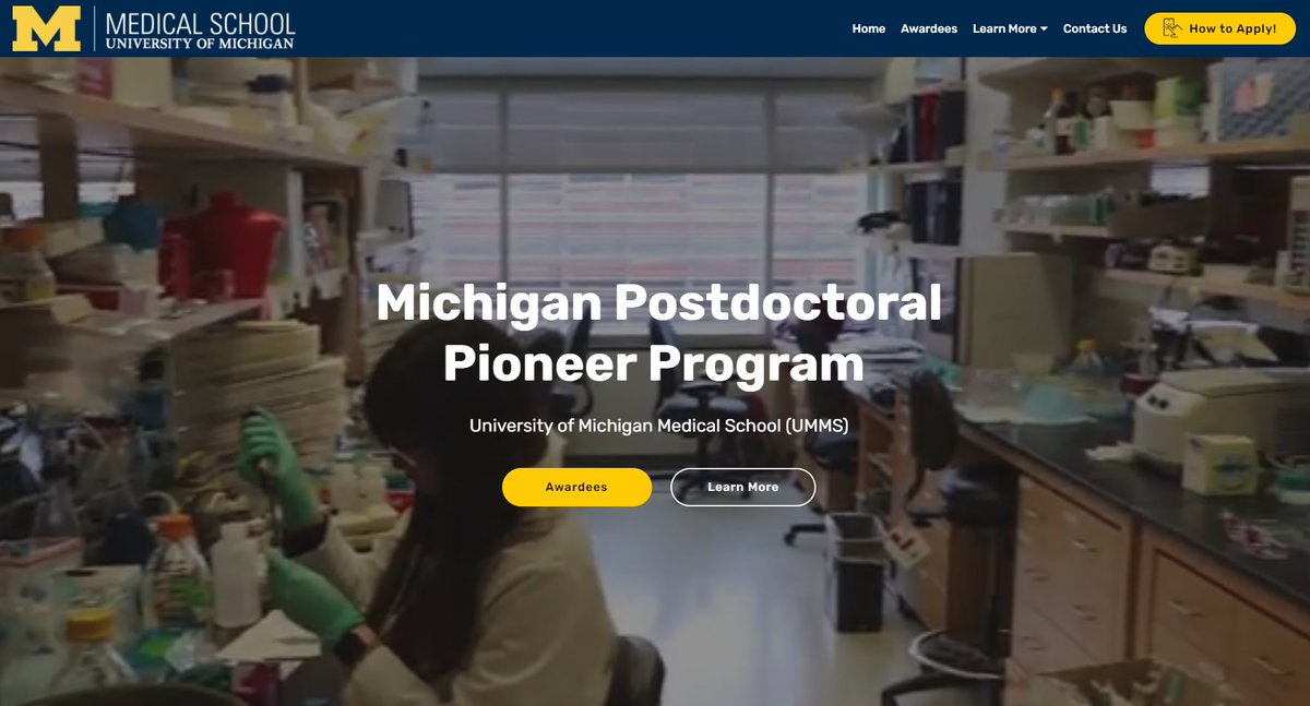 Dan Michele tweet media