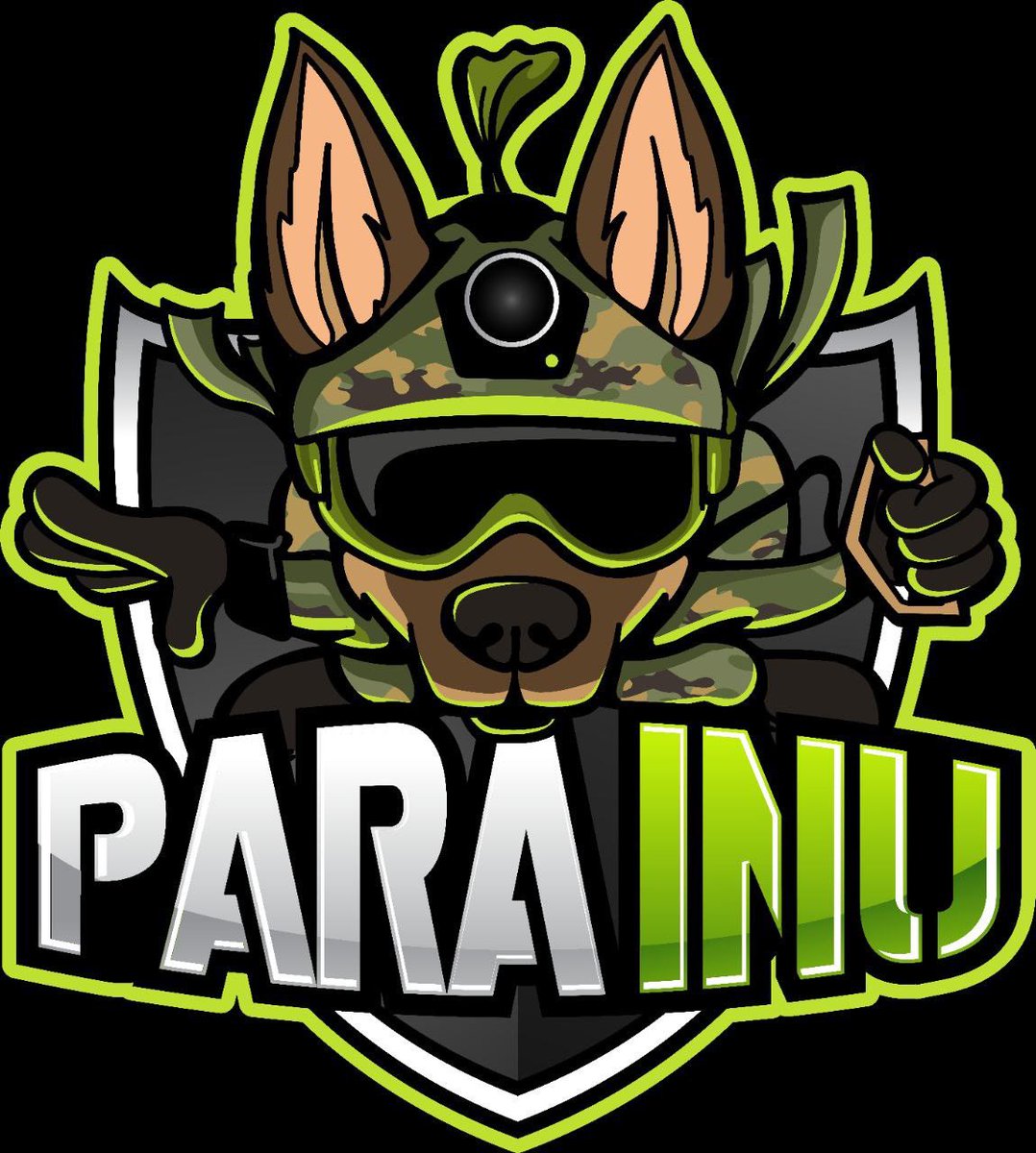 shill11shill's tweet photo. @CryptoMOLAh $PARAINU should be on top of your list 💯 legit , trustable, doxxed devs , burns 🔥 , plans to help veterans , meaningfull goals . check it out @ParaInuToken  LFGGGG🪂🪂🪂🪂🪂 https://t.co/qrrRhGU9US