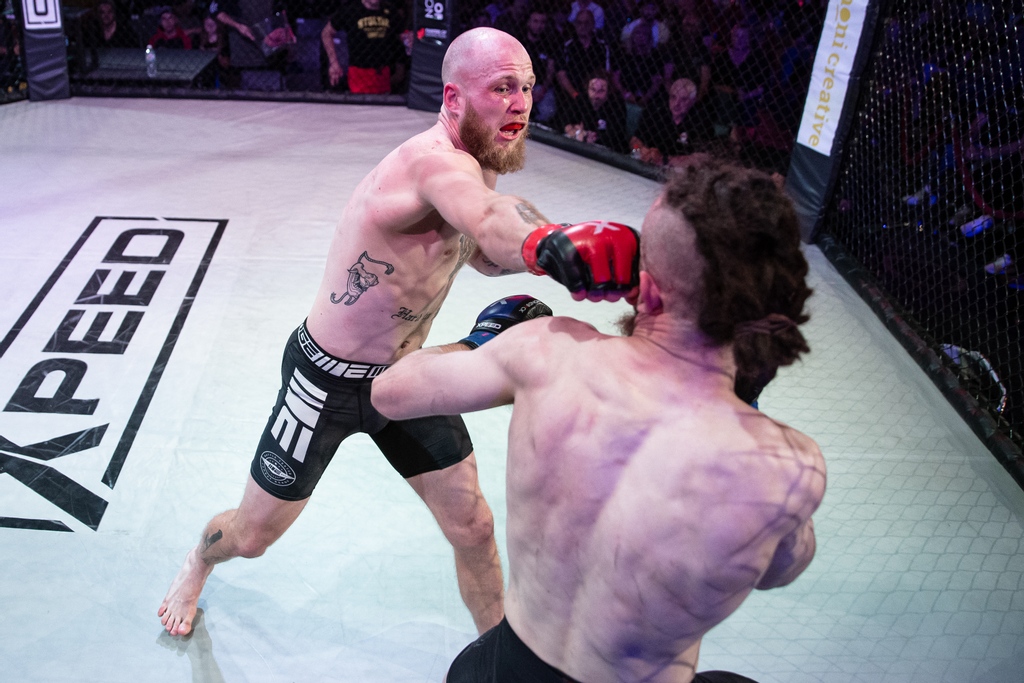 Diamondback Fighting Championship tweet media