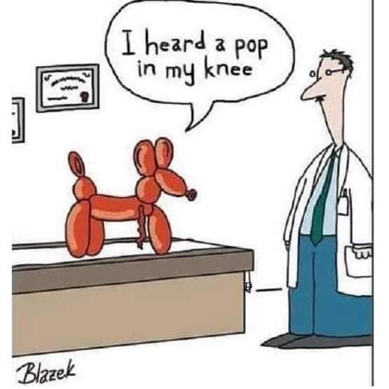 Bri_031's tweet photo. Since last Wednesday...ankle pop pop pop. I feel you balloon dog. https://t.co/Q5DTbUq2rT