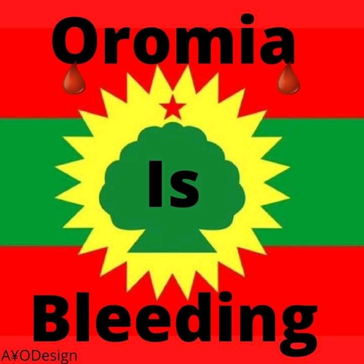 Nuree_mohammed (@nureemohammed5) on Twitter photo 