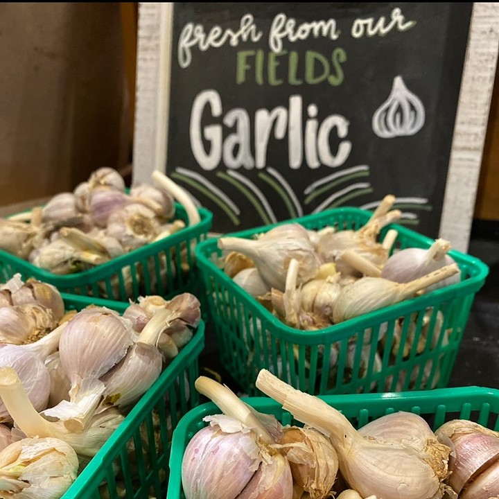 $5 garlic pints from <a href="/WillowtreeCSA/">Willowtree Farm</a> available all week!
This is your LAST CHANCE to stock up on locally-grown garlic.
*available while supplies last