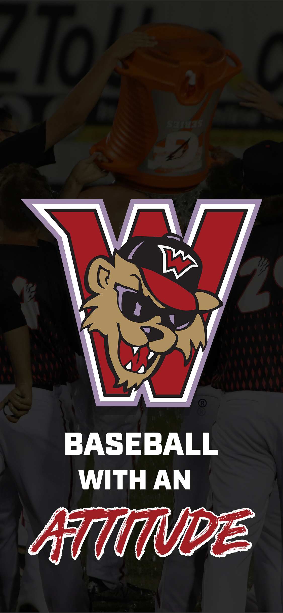 Washington Wild Things Washwildthings Twitter