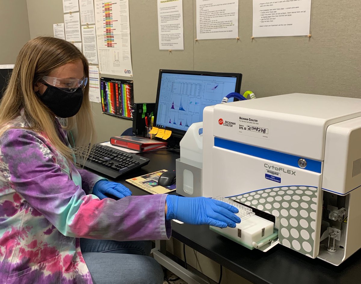 CmichOrgs's tweet image. Biology professor Dr. Cynthia Damer leads students in research on the unknown function of copine proteins!

At CMU We Do Research, We Do Real World.

cmich.edu/offices-depart… @cmichSE