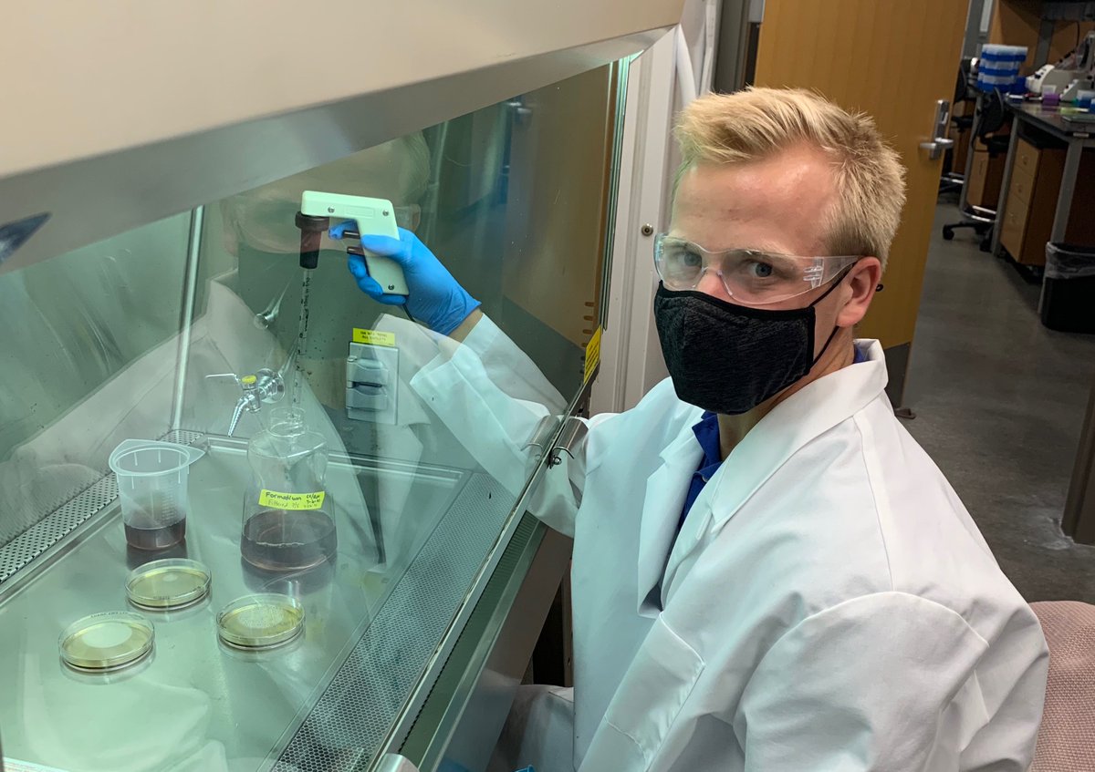 CmichOrgs's tweet image. Biology professor Dr. Cynthia Damer leads students in research on the unknown function of copine proteins!

At CMU We Do Research, We Do Real World.

cmich.edu/offices-depart… @cmichSE