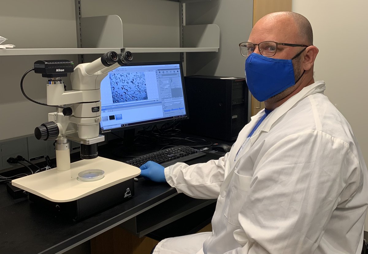 CmichOrgs's tweet image. Biology professor Dr. Cynthia Damer leads students in research on the unknown function of copine proteins!

At CMU We Do Research, We Do Real World.

cmich.edu/offices-depart… @cmichSE