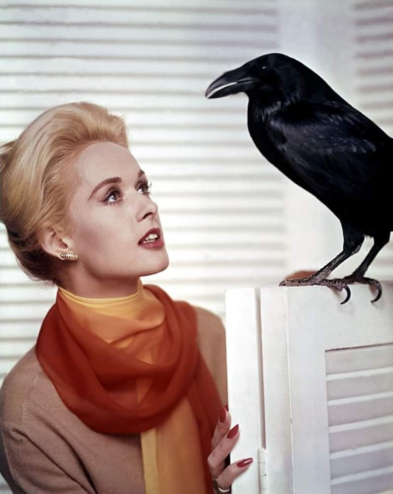 Happy Birthday to Tippi Hedren who turns 92 today.  Pictured here in The Birds (1963). 