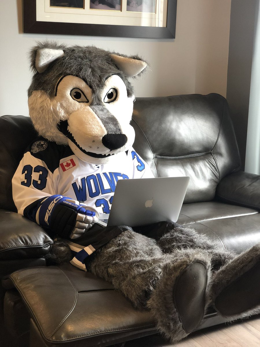 Central Ont Wolves U18 tweet media