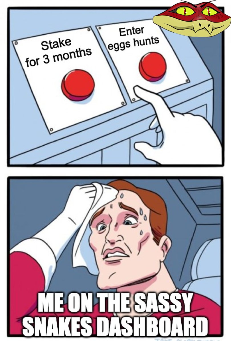 The big decisions Sassy Snake holders have to make 🐍✨