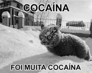 _KellOfKells's tweet image. Master Duel lançou e eu joguei 6 horas e não fiz um Duelo contra Player, só mexendo em Deck, config, feature e abrindo pacote.