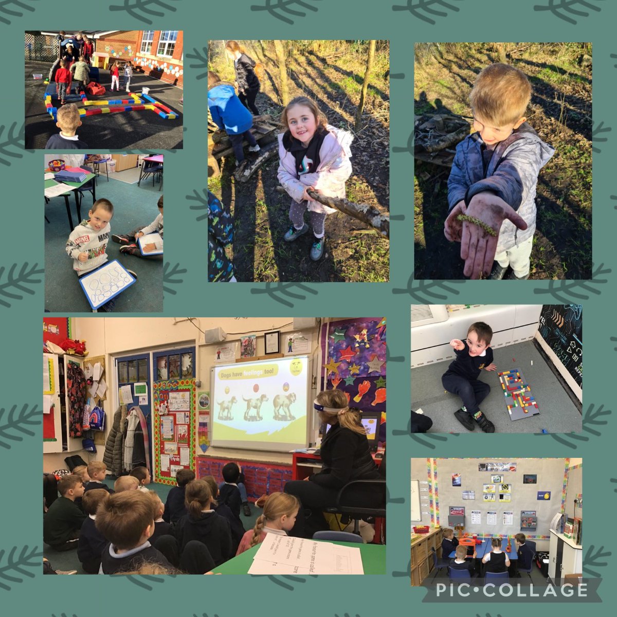 Sandfields_Pri's tweet photo. Last week the Shooting Stars enjoyed @DogsTrust workshop. They also loved exploring our new busy room and school forest #SFPSHOOTINGSTARS #SFPHWB #SFPArticle31 https://t.co/Cjs97iMzEl