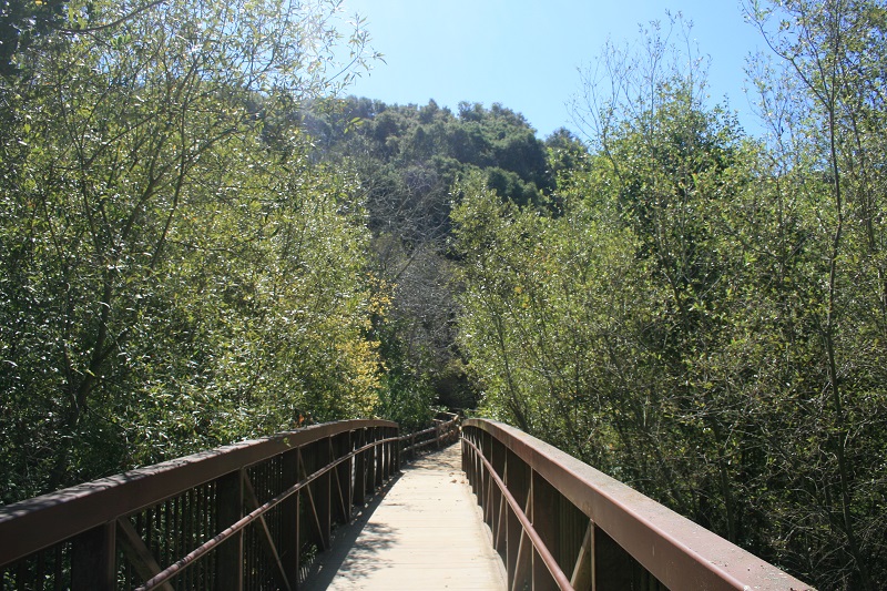 ParadisRetreats's tweet photo. If you want to relax and just have a comfortable nature walk, the Douglas Family Reserve is the place to go.
#ParadiseRetreats #WholesomeWednesday #SantaBarbara #NaturePark #DouglasFamilyPreserve #SantaBarbaraPark #AdventureAndFun https://t.co/71yAs0Hh9n