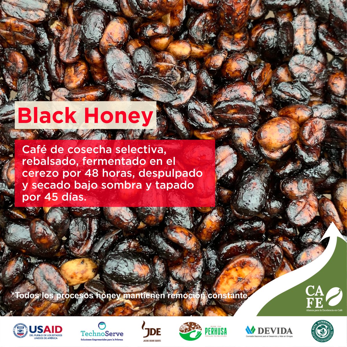CAFEamazonia_re tweet picture